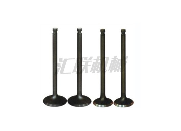 L-0555 6D34三菱气门