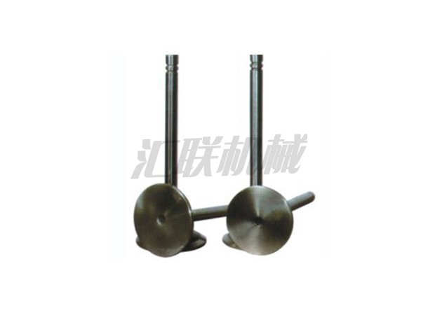 L-0557 3306卡特气门