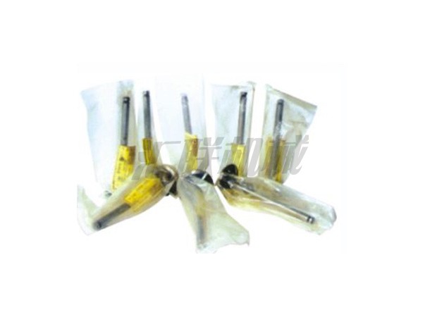 L-0558 Fd33尼桑气门